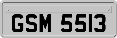 GSM5513