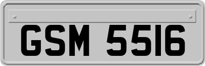 GSM5516