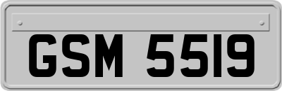 GSM5519