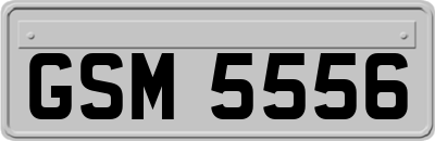 GSM5556