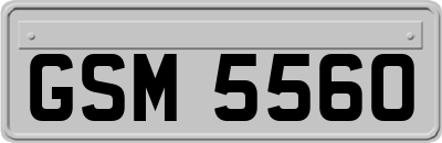 GSM5560