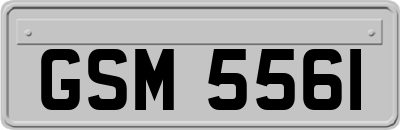 GSM5561