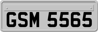 GSM5565