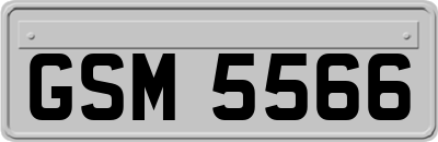 GSM5566