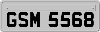 GSM5568