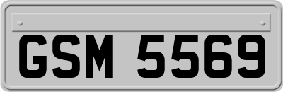 GSM5569