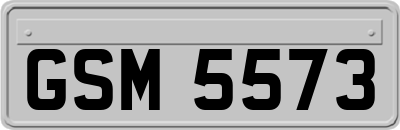 GSM5573