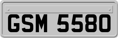 GSM5580