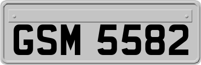 GSM5582