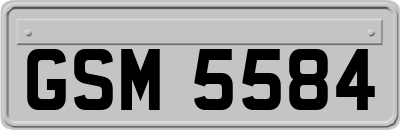 GSM5584