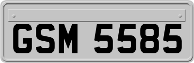 GSM5585