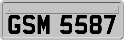 GSM5587