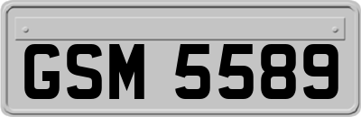 GSM5589