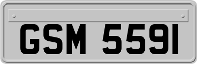 GSM5591