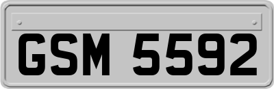 GSM5592