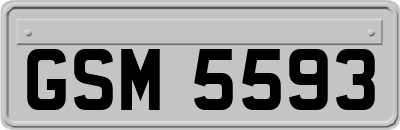 GSM5593