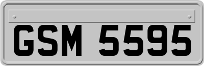GSM5595