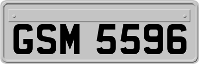 GSM5596