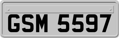 GSM5597