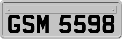 GSM5598