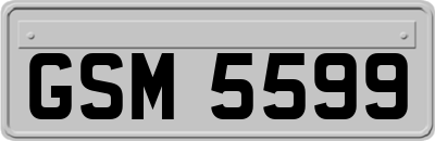 GSM5599