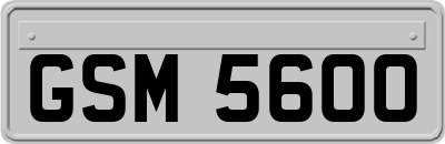 GSM5600