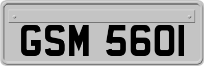GSM5601