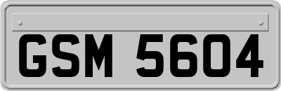 GSM5604
