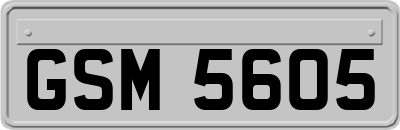 GSM5605
