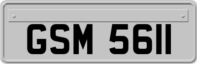 GSM5611