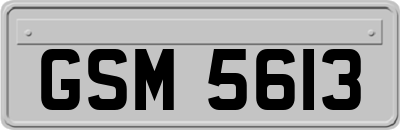 GSM5613
