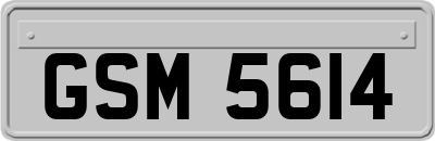 GSM5614