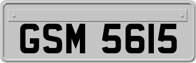 GSM5615