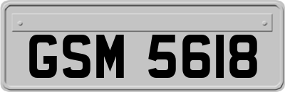 GSM5618