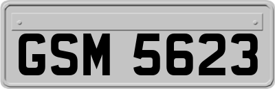 GSM5623