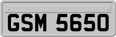GSM5650