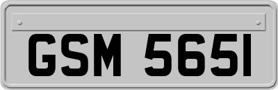 GSM5651