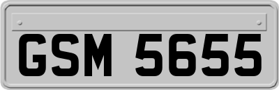 GSM5655