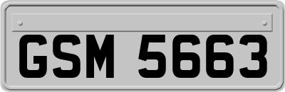 GSM5663