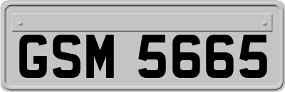 GSM5665