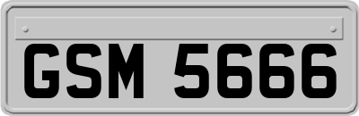 GSM5666