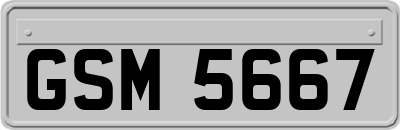 GSM5667