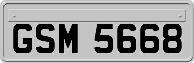 GSM5668