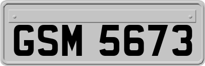 GSM5673