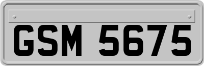 GSM5675