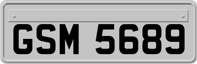 GSM5689