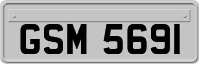 GSM5691