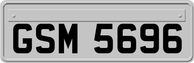 GSM5696