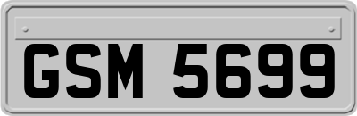 GSM5699