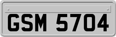 GSM5704